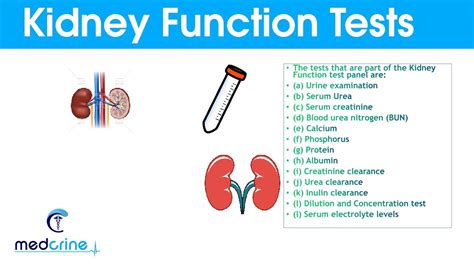 blood test shows drop in kidney function|kidney function test for symptoms.